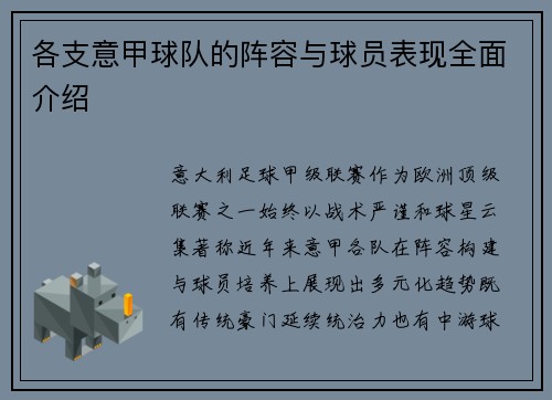 各支意甲球队的阵容与球员表现全面介绍